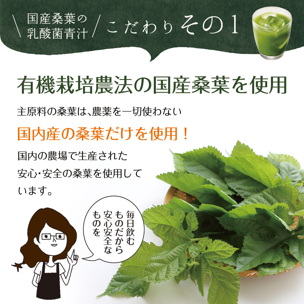【機能性表示食品】国産桑葉の乳酸菌青汁 30包入り