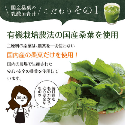 【機能性表示食品】国産桑葉の乳酸菌青汁 30包入り