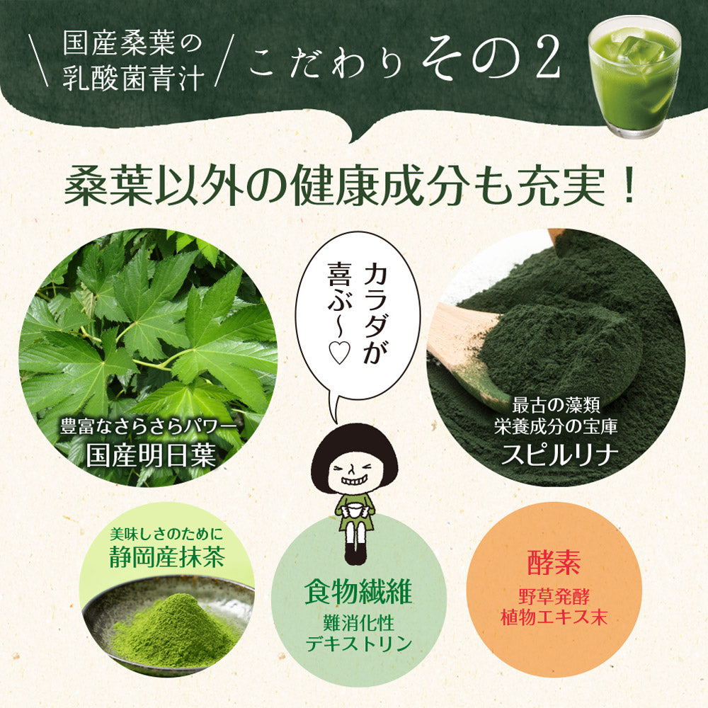 【機能性表示食品】国産桑葉の乳酸菌青汁 30包入り