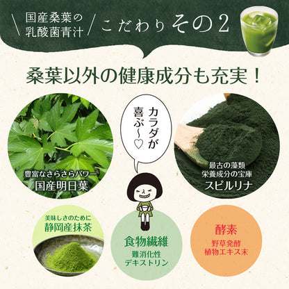 【機能性表示食品】国産桑葉の乳酸菌青汁 30包入り