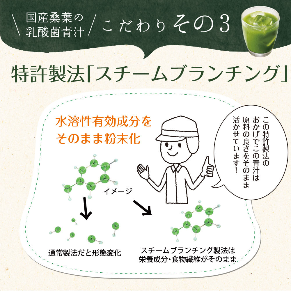 【機能性表示食品】国産桑葉の乳酸菌青汁 30包入り