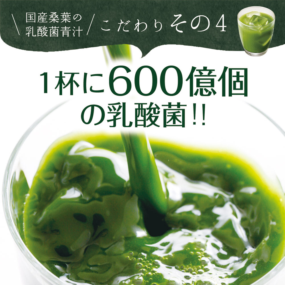 【機能性表示食品】国産桑葉の乳酸菌青汁 30包入り