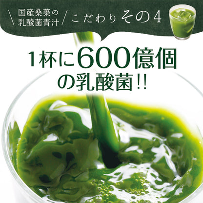 【機能性表示食品】国産桑葉の乳酸菌青汁 30包入り