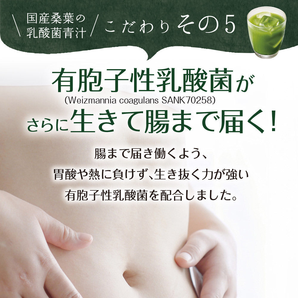 【機能性表示食品】国産桑葉の乳酸菌青汁 30包入り