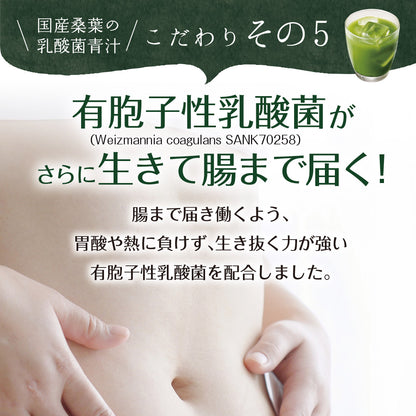 【機能性表示食品】国産桑葉の乳酸菌青汁 30包入り