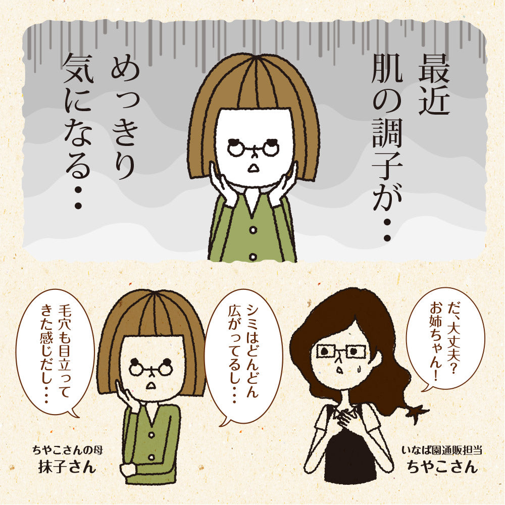 サジーと3つのビタミンC 30包入り