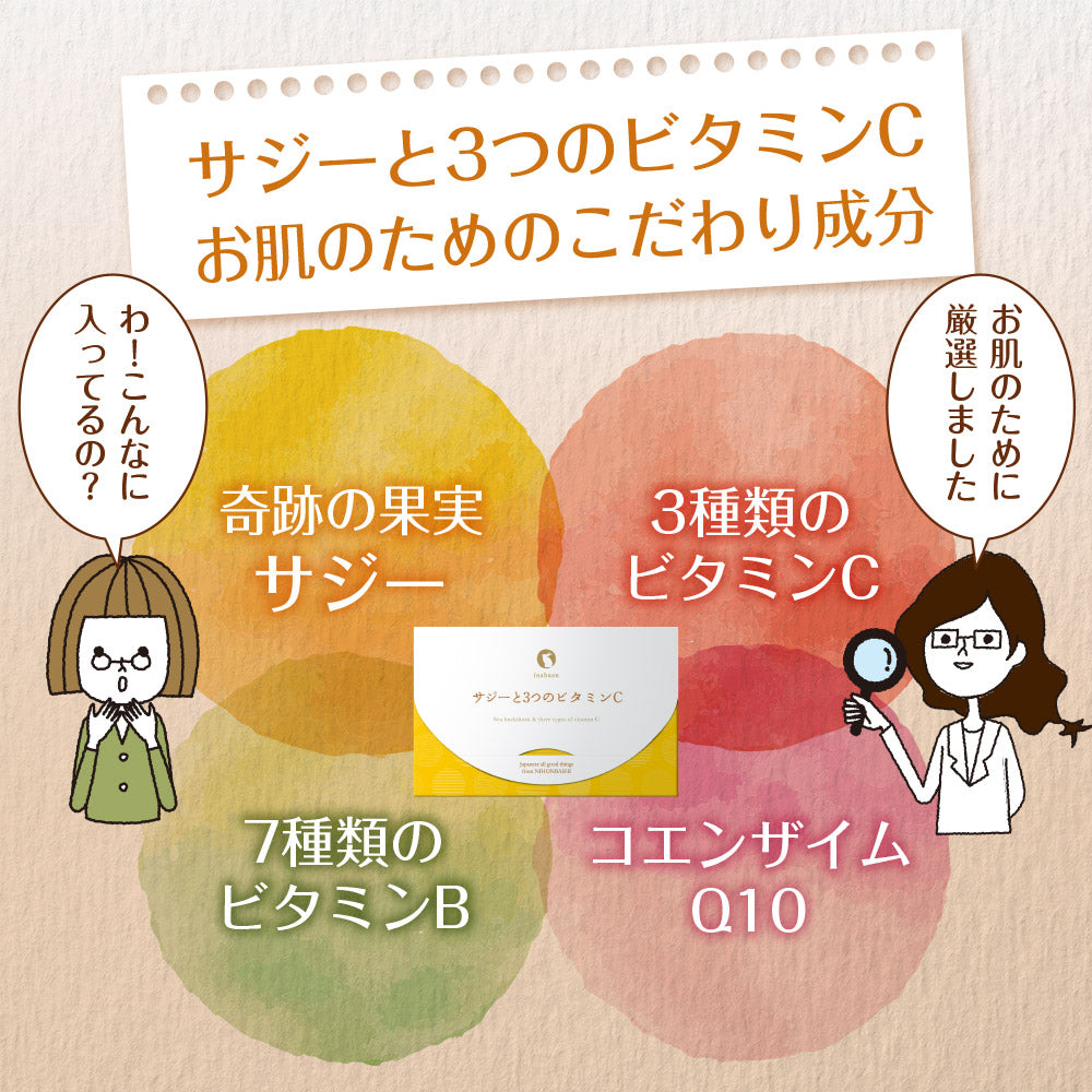 サジーと3つのビタミンC 30包入り