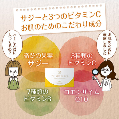 サジーと3つのビタミンC 30包入り