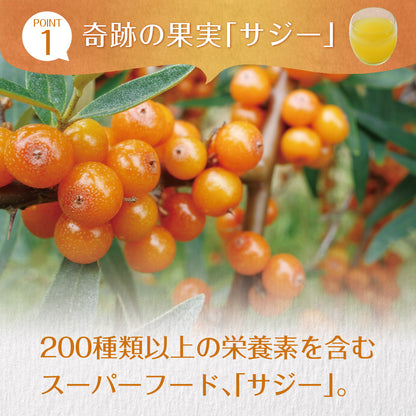 サジーと3つのビタミンC 30包入り