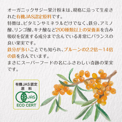 サジーと3つのビタミンC 30包入り