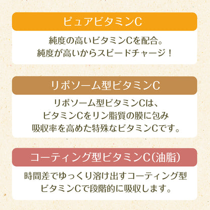 サジーと3つのビタミンC 30包入り