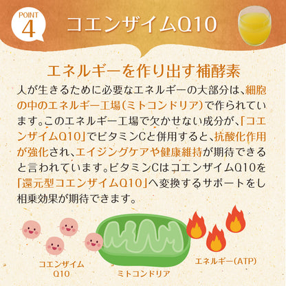サジーと3つのビタミンC 30包入り