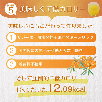 サジーと3つのビタミンC 30包入り
