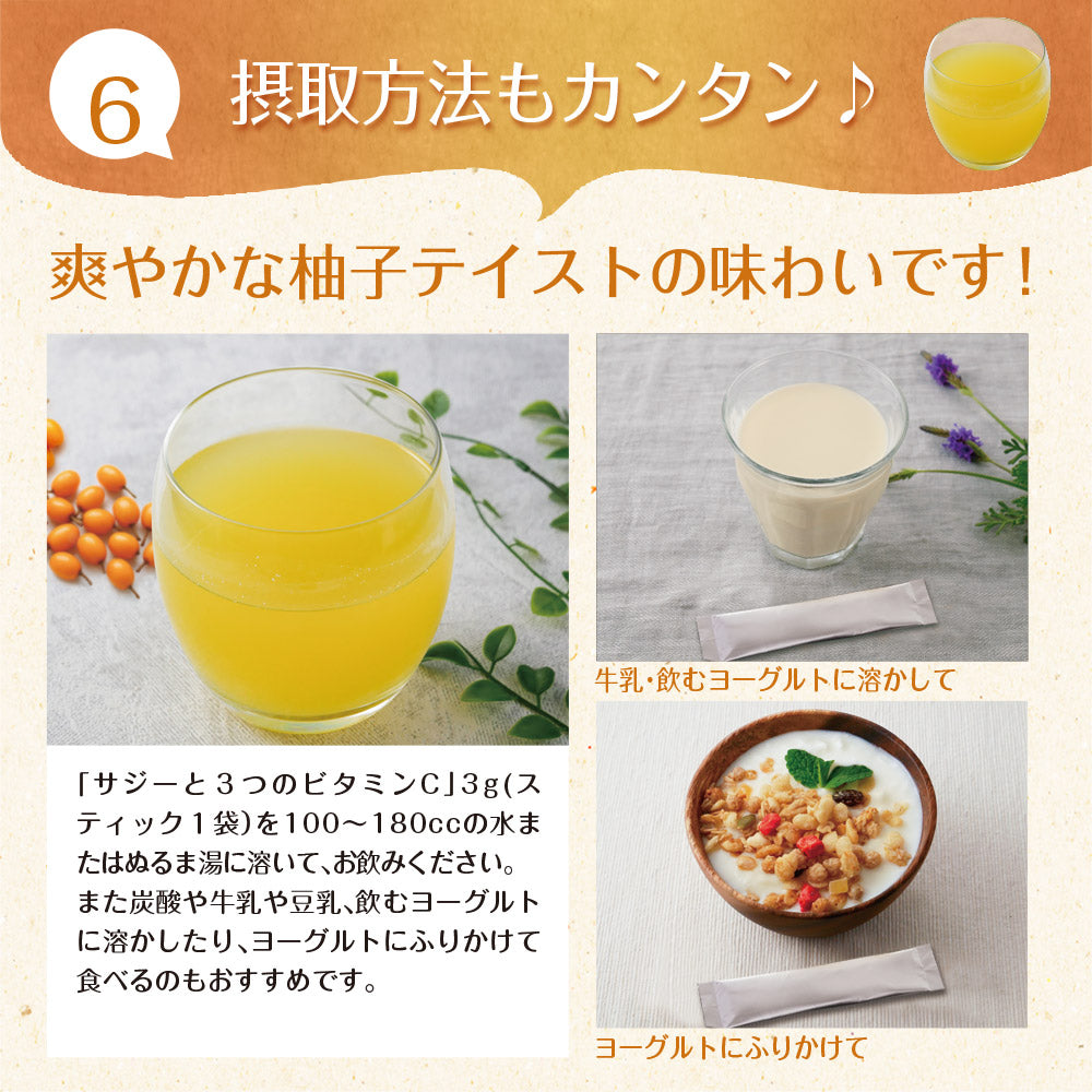 サジーと3つのビタミンC 30包入り