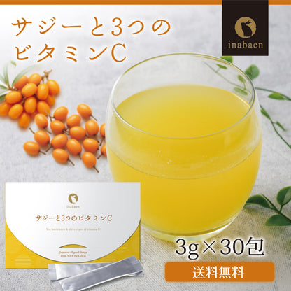 サジーと3つのビタミンC 30包入り