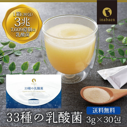 33種の乳酸菌 30包入り