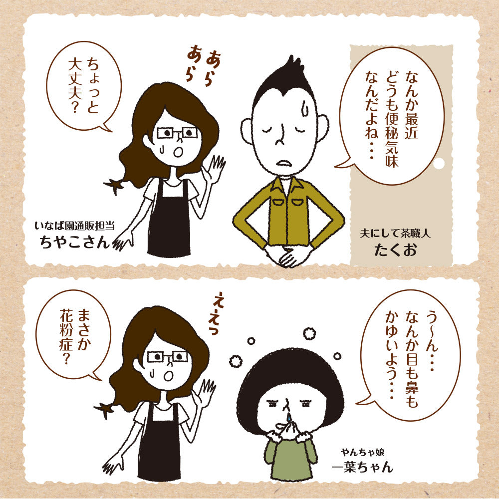 33種の乳酸菌 30包入り