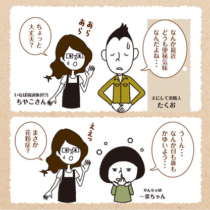 33種の乳酸菌 30包入り