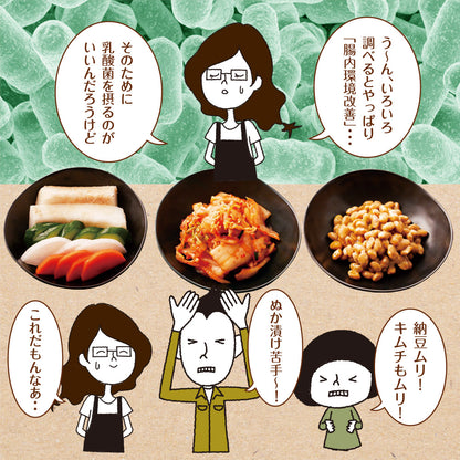 33種の乳酸菌 30包入り