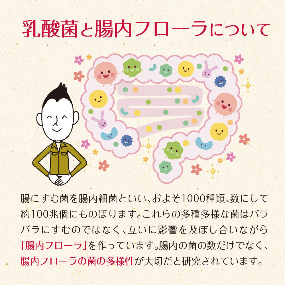 33種の乳酸菌 30包入り
