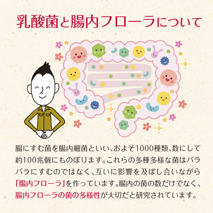 33種の乳酸菌 30包入り