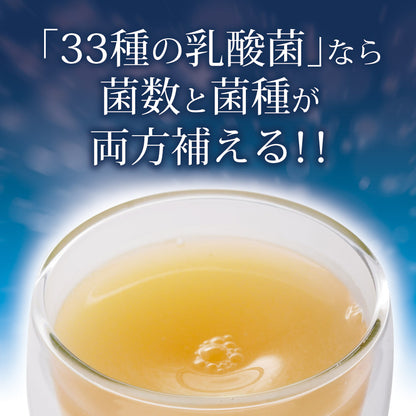 33種の乳酸菌 30包入り