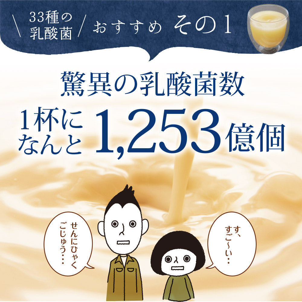 33種の乳酸菌 30包入り