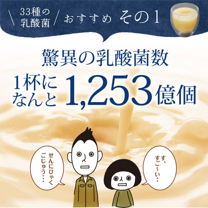 33種の乳酸菌 30包入り