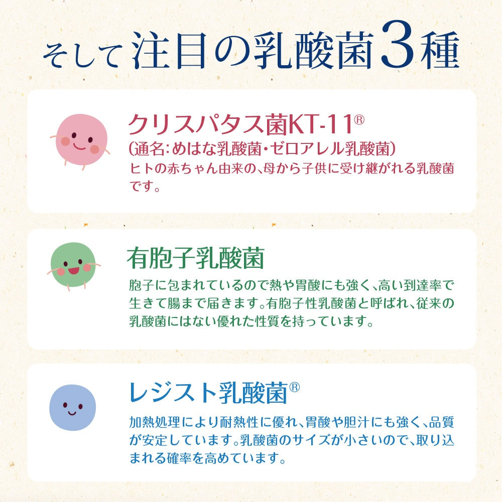 33種の乳酸菌 30包入り