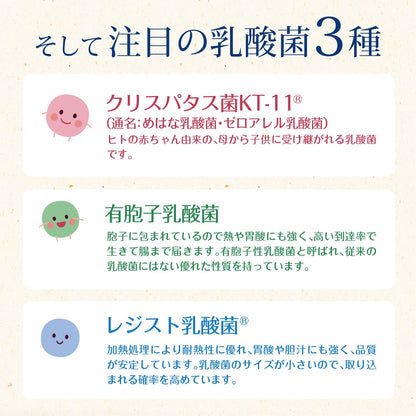 33種の乳酸菌 30包入り