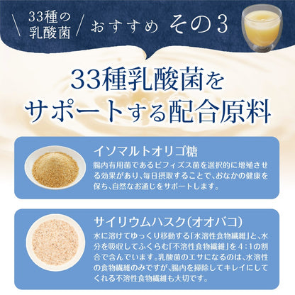 33種の乳酸菌 30包入り