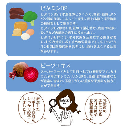 33種の乳酸菌 30包入り